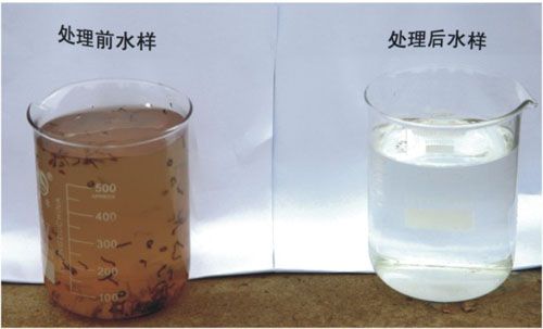 忻城县红渡镇大念屯生活污水生态处理工程