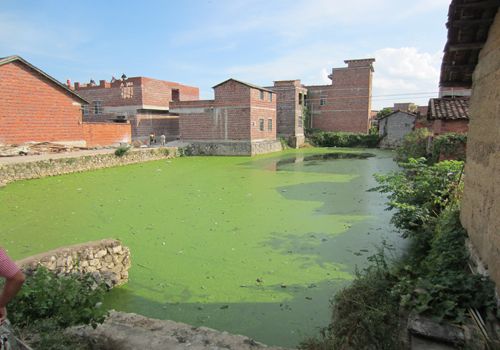 忻城县2012年农村环境连片整治果遂外屯污水治理项目
