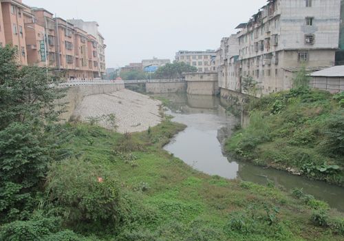 《融水苗族自治县狗肚泠河水质改善规划》编制工作